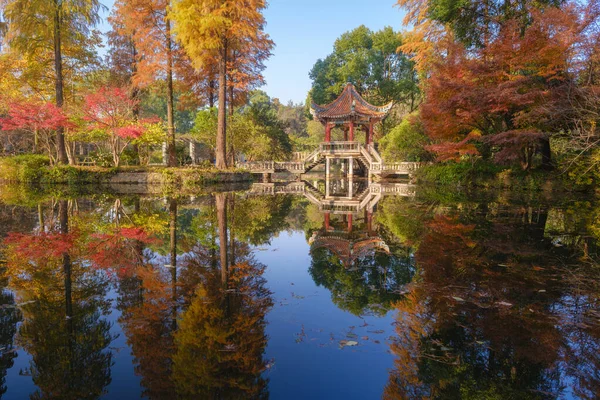 Wuhan Botanik Bahçesinde Sonbahar Manzarası Hubei Çin — Stok fotoğraf