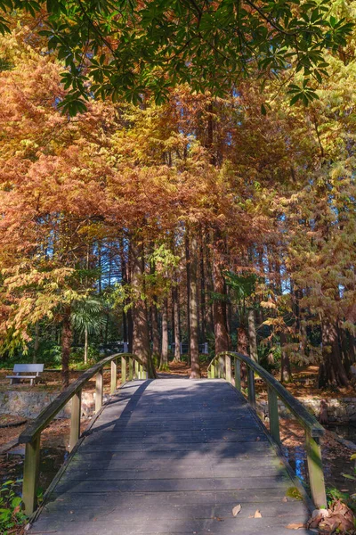 Φθινόπωρο Τοπίο Wuhan Βοτανικός Κήπος Hubei Κίνα — Φωτογραφία Αρχείου