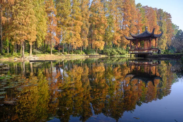中国湖北武汉植物园的秋季风景 — 图库照片