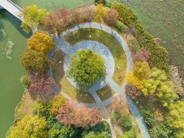 Wuhan, Hubei, Çin 'deki Yuehu Park' ın sonbahar manzarası.