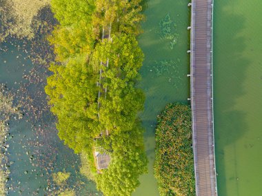 Wuhan, Hubei, Çin 'deki Yuehu Park' ın sonbahar manzarası.