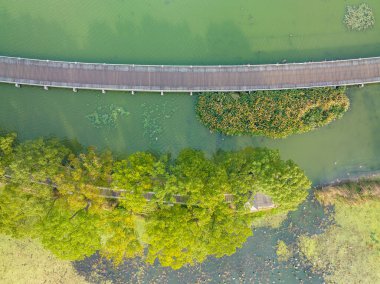 Wuhan, Hubei, Çin 'deki Yuehu Park' ın sonbahar manzarası.