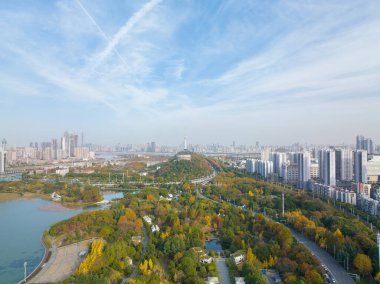 Wuhan, Hubei, Çin 'deki Yuehu Park' ın sonbahar manzarası.
