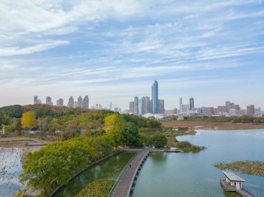 Wuhan, Hubei, Çin 'deki Yuehu Park' ın sonbahar manzarası.