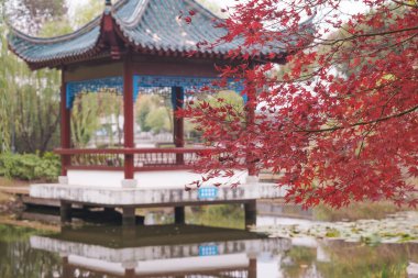 Wuhan, Hubei, Çin 'deki Yuehu Park' ın sonbahar manzarası.