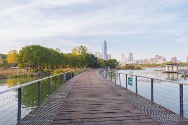 Wuhan, Hubei, Çin 'deki Yuehu Park' ın sonbahar manzarası.