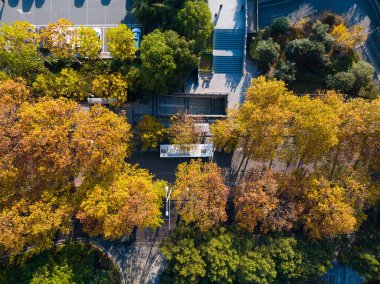 Wuchang, Wuhan, Hubei, Çin 'deki Shouyi Park' ın sonbahar manzarası.