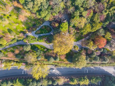 Wuchang, Wuhan, Hubei, Çin 'deki Shouyi Park' ın sonbahar manzarası.