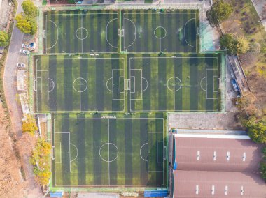 Wuhan Qingshan Parkı sonbahar manzarası Hubei, Çin