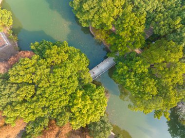 Wuhan Qingshan Parkı sonbahar manzarası Hubei, Çin