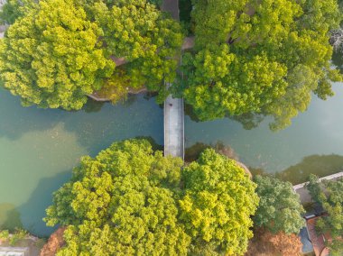 Wuhan Qingshan Parkı sonbahar manzarası Hubei, Çin