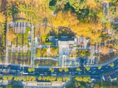 Wuhan Hanyang Nehri Sahili ve Nan 'anzui Parkı' nın sonbahar manzarası