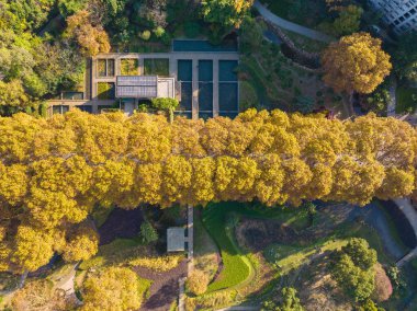 Wuhan Özgürlük Parkı Hubei, Çin 'de sonbahar manzarası
