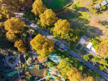 Wuhan Özgürlük Parkı Hubei, Çin 'de sonbahar manzarası