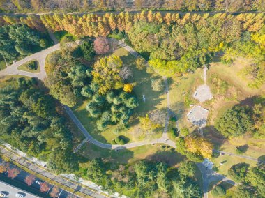 Wuhan, Hubei, Çin 'deki Houxianghe Park' ın sonbahar manzarası