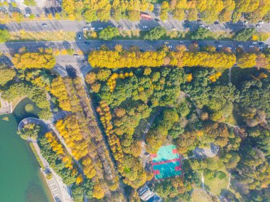 Wuhan, Hubei, Çin 'deki Houxianghe Park' ın sonbahar manzarası