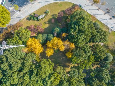 Wuhan, Hubei, Çin 'deki Houxianghe Park' ın sonbahar manzarası
