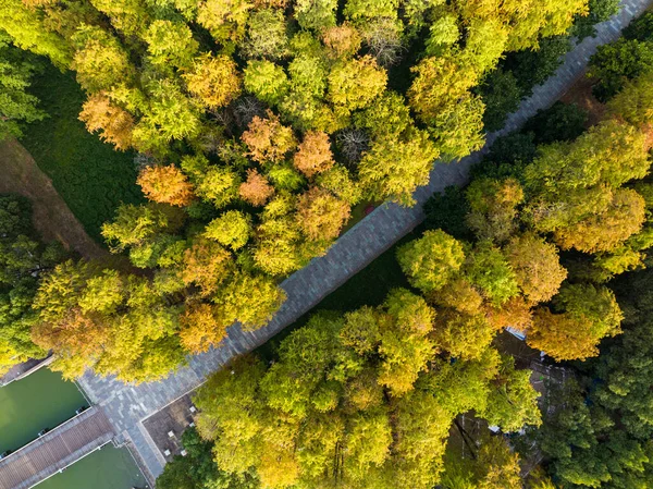 Wuhan, Hubei, Çin 'deki Yuehu Park' ın sonbahar manzarası.