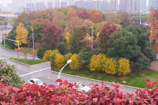 中国湖北省武漢のYuehu Parkの秋の風景 — ストック写真