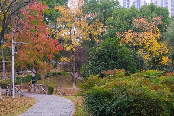 Jesienna Sceneria Yuehu Park Wuhan Hubei Chiny — Zdjęcie stockowe