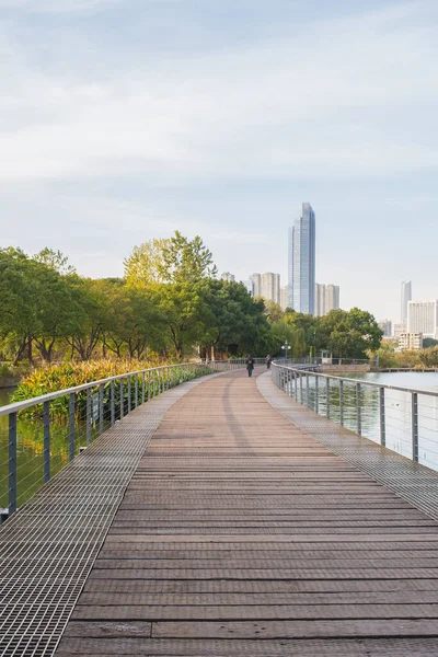 Wuhan, Hubei, Çin 'deki Yuehu Park' ın sonbahar manzarası.