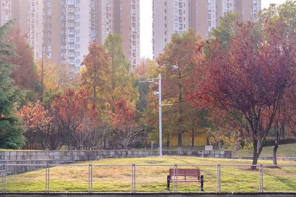 Jesienna Sceneria Yuehu Park Wuhan Hubei Chiny — Zdjęcie stockowe