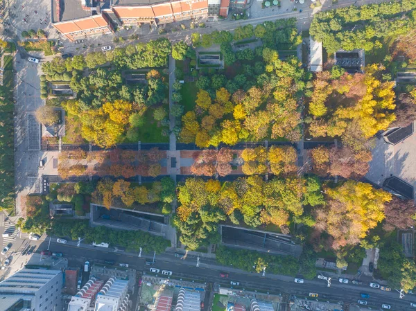 Jesienna Sceneria Parku Shouyi Wuchang Wuhan Hubei Chiny — Zdjęcie stockowe