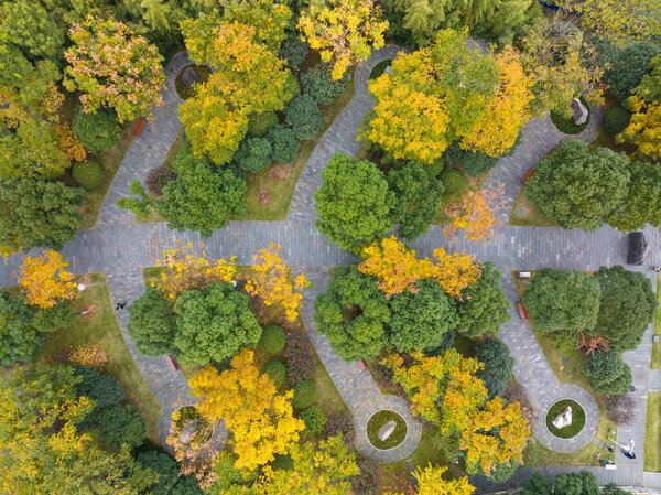 Autumn scenery of Shouyi Park in Wuchang, Wuhan, Hubei, China