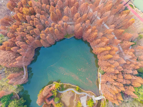 Park Wuhan Qingshan Późna Jesień Dekoracje Hubei Chiny — Zdjęcie stockowe