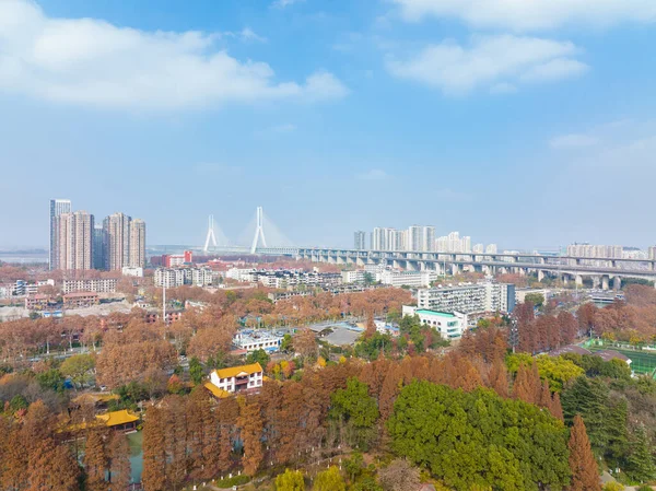 Wuhan Qingshan Park Sent Hösten Landskap Hubei Kina — Stockfoto