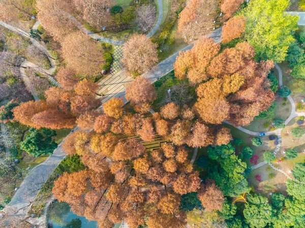 Парк Ухань Циншань Поздней Осенью Хубэй Китай — стоковое фото