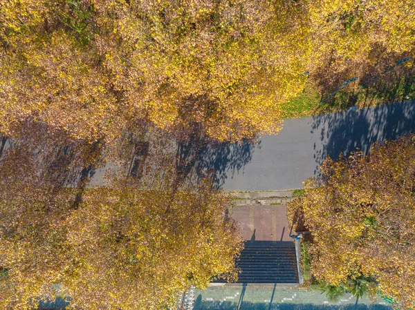 Wuhan Hanyang Nehri Sahili Nan Anzui Parkı Nın Sonbahar Manzarası — Stok fotoğraf