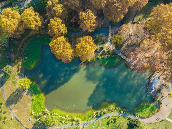 Wuhan Özgürlük Parkı Hubei, Çin 'de sonbahar manzarası