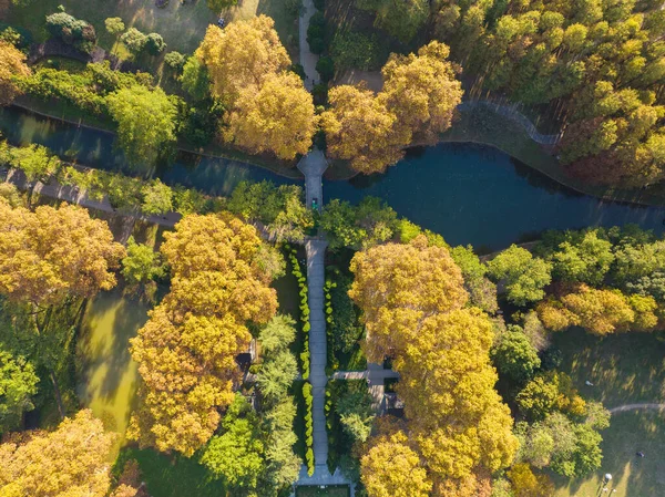 Wuhan Özgürlük Parkı Hubei, Çin 'de sonbahar manzarası