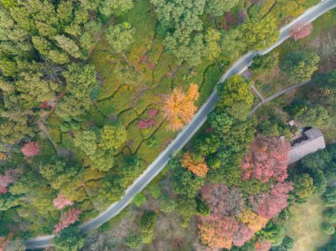 Hubei Wuhan Doğu Gölü Sahnesi Sonbahar Sonbaharı Sahnesi