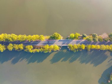 Hubei Wuhan Doğu Gölü Sahnesi Sonbahar Sonbaharı Sahnesi