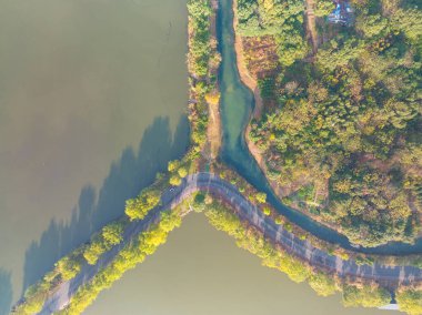 Hubei Wuhan Doğu Gölü Sahnesi Sonbahar Sonbaharı Sahnesi
