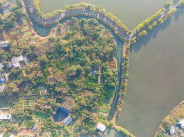 Hubei Wuhan Doğu Gölü Sahnesi Sonbahar Sonbaharı Sahnesi