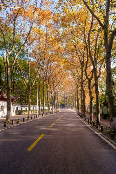 Hubei Wuhan East Lake Scenic Area Late Autumn Scenery — Stock Photo, Image