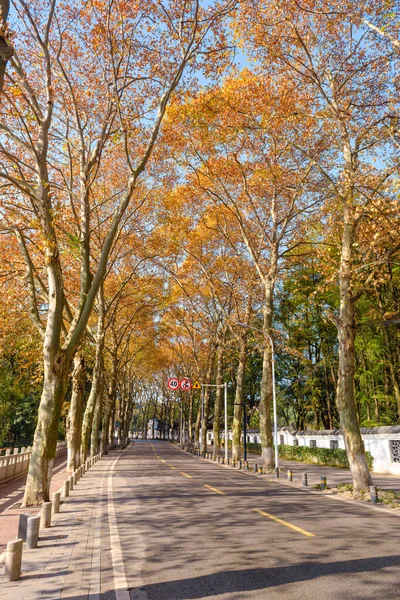 Hubei Wuhan East Lake Scenic Area Paysage Fin Automne — Photo