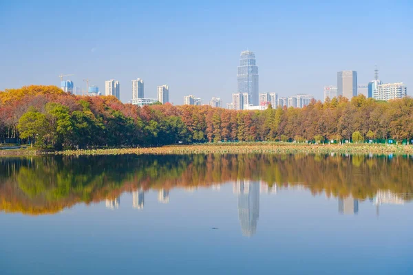Hubei Wuhan East Lake Scénická Oblast Pozdní Podzimní Scenérie — Stock fotografie