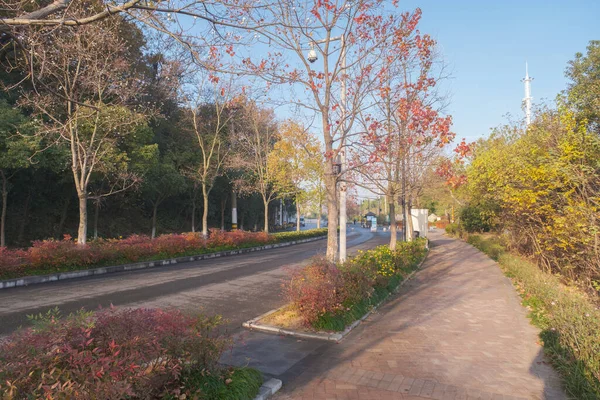 Hubei Wuhan East Lake Scenic Area Późna Jesienna Sceneria — Zdjęcie stockowe