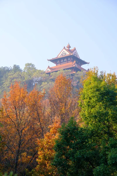 Hubei Wuhan East Lake Scenic Area Late Autumn Scenery — 图库照片