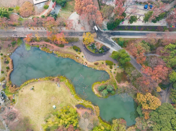 湖北武漢東湖風景区晩秋の風景 — ストック写真