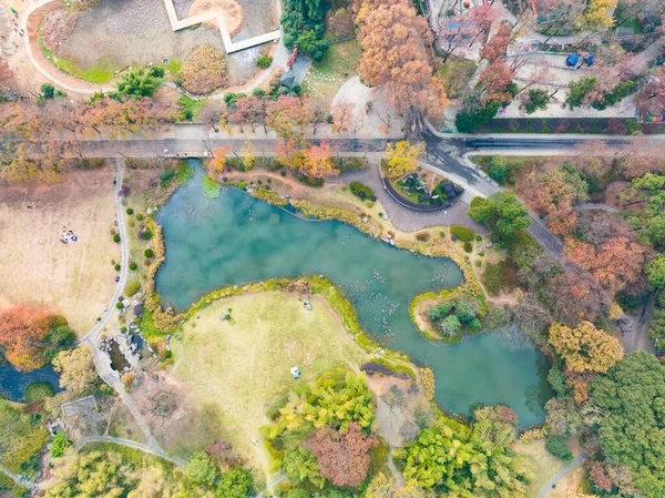 Hubei Wuhan East Lake Scenic Area Paysage Fin Automne — Photo