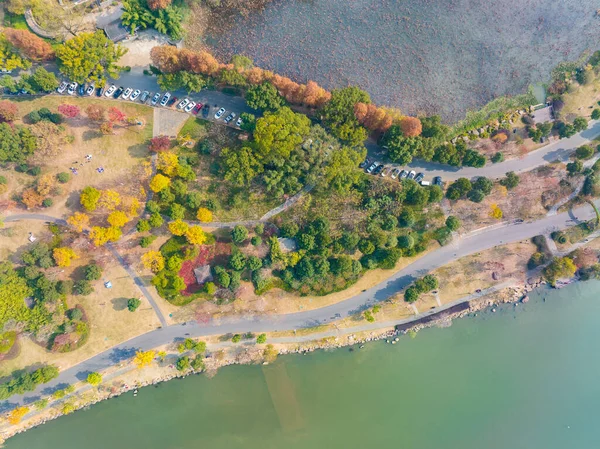 Hubei Wuhan Doğu Gölü Sahnesi Sonbahar Sonbaharı Sahnesi