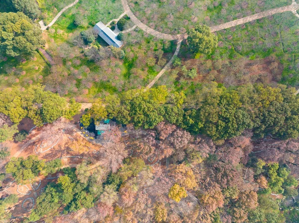 Hubei Wuhan Doğu Gölü Sahnesi Sonbahar Sonbaharı Sahnesi