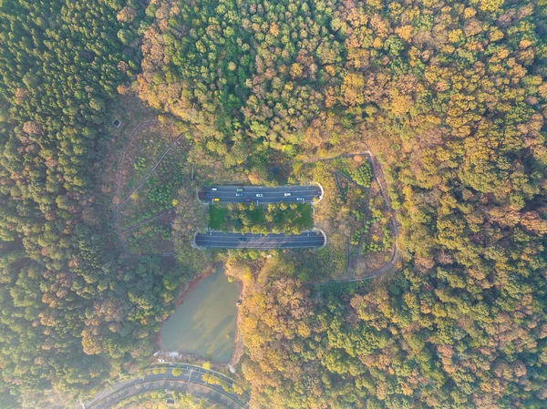 Hubei Wuhan East Lake Escenic Área Paisajes Otoño Tardío — Foto de Stock