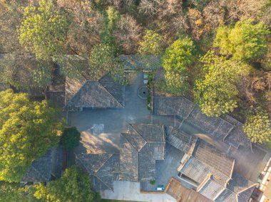 Hubei Wuhan Doğu Gölü Sahnesi Sonbahar Sonbaharı Sahnesi