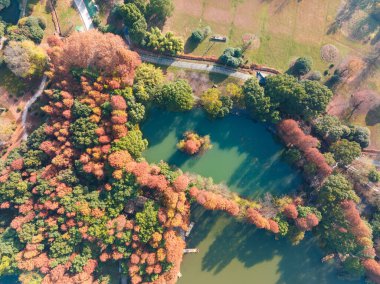 Hubei Wuhan Doğu Gölü Sahnesi Sonbahar Sonbaharı Sahnesi